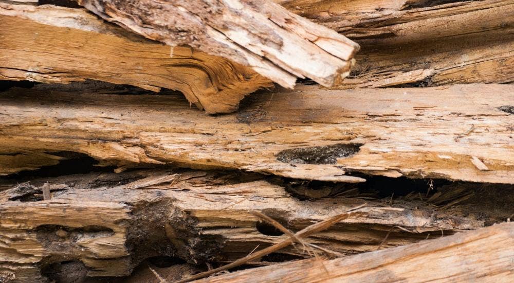 Stacked wood