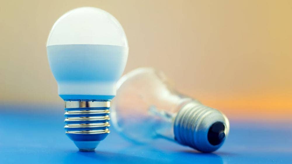 One bulb stood up and one bulb laid down beside it