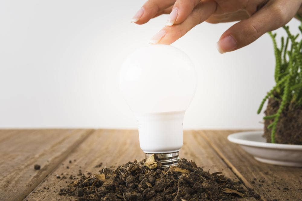 Person touching a bulb