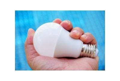 Somebody holding a bulb