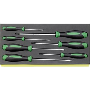Stahlwille 96838278 Screwdriver Set in Foam Inlay