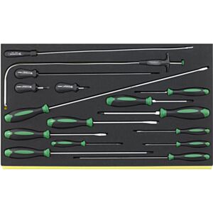 Stahlwille 96832098 16 Piece Screwdriver Set in TCS Inlay 