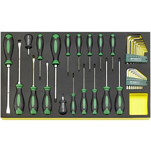 Stahlwille 96831196 Screwdriver and Hex Key Set in TCS Inlay 