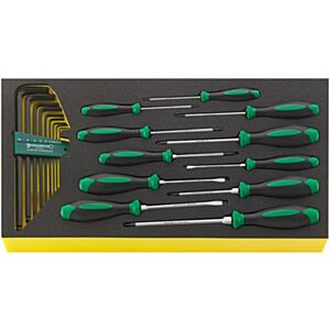 Stahlwille 96830122 - 20 Piece Screwdriver and Hex-Key Set in TCS Inlay 
