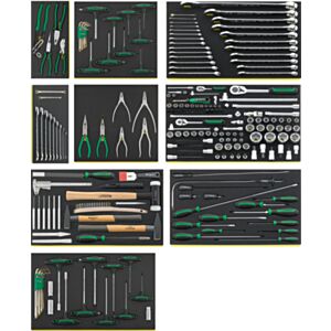 Stahlwille 97830606 TCS 2501 Workshop Set for BMW Motorbikes - 214 Pieces