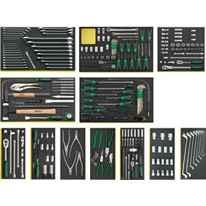 Stahlwille 97830600 TCS 2500 Workshop Set for BMW Vehicles - 283 Pieces